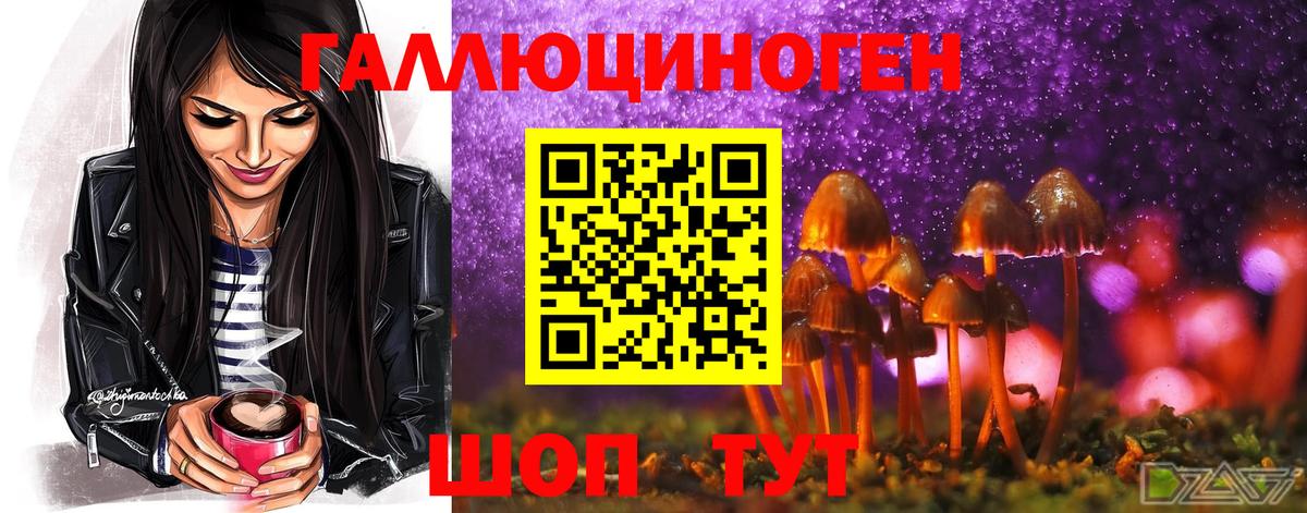 Псилоцибиновые грибы GOLDEN TEACHER  Вход с VPN  где купить   Семилуки 